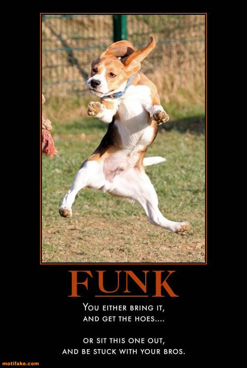 Dog demotivators and graphics