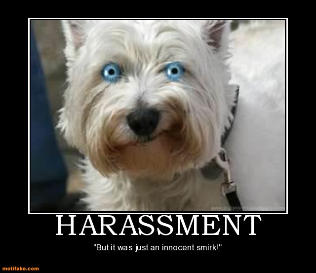 Dog demotivators and graphics