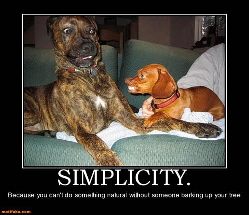 Dog demotivators and graphics