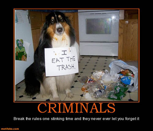 Dog demotivators and graphics