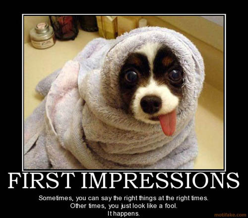 Dog demotivators and graphics