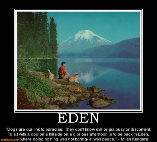 Dog demotivators and graphics