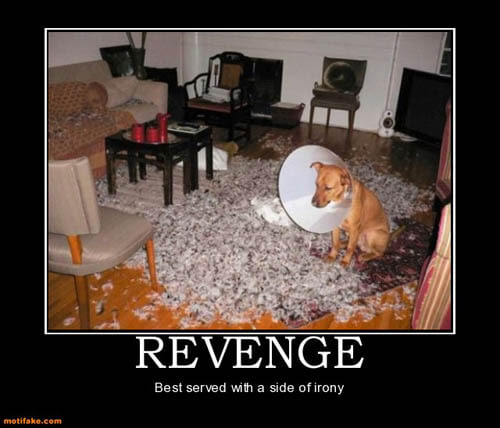 Dog demotivators and graphics