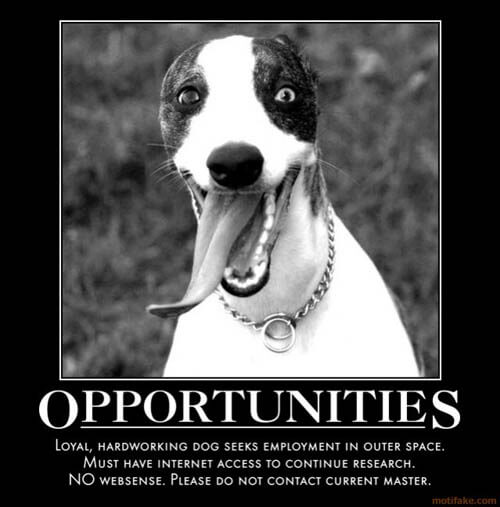 Dog demotivators and graphics