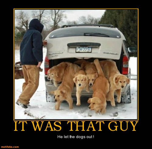 Dog demotivators and graphics