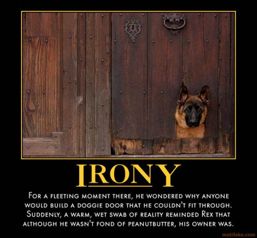 Dog demotivators and graphics