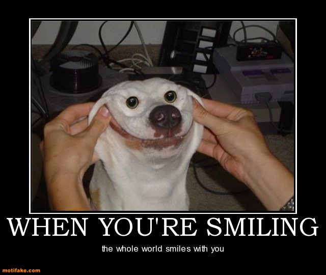 Dog demotivators and graphics