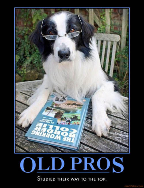 Dog demotivators and graphics