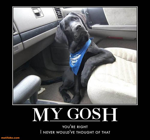 Dog demotivators and graphics