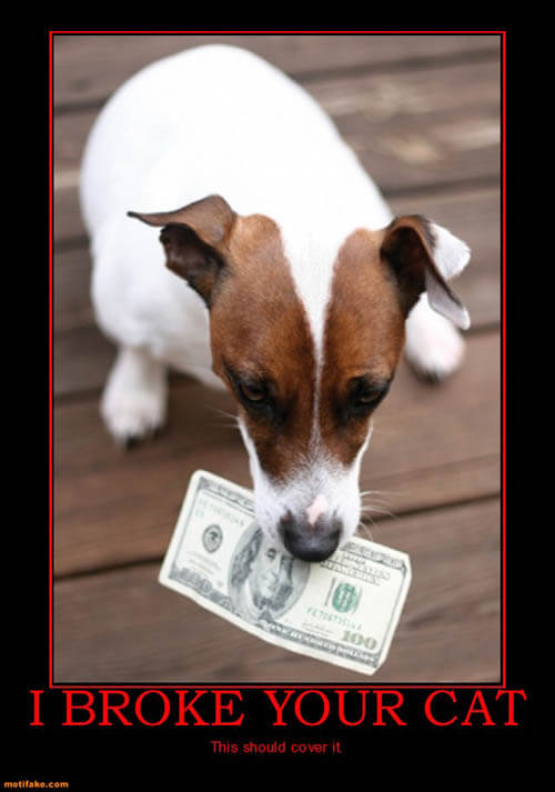 Dog demotivators and graphics