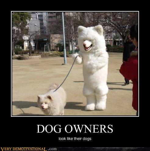 Dog demotivators and graphics