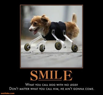 Dog demotivators and graphics