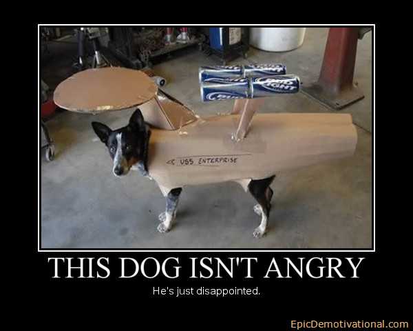 Dog demotivators and graphics