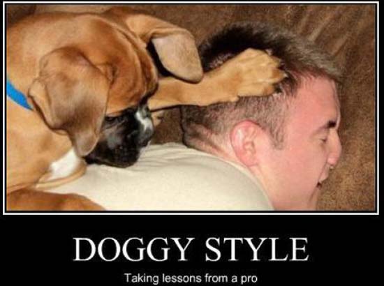 Dog demotivators and graphics