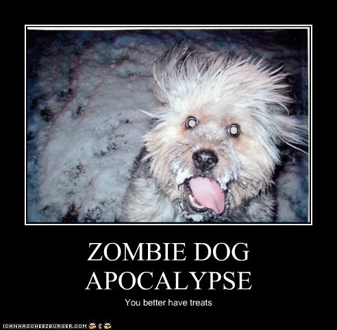 Dog demotivators and graphics