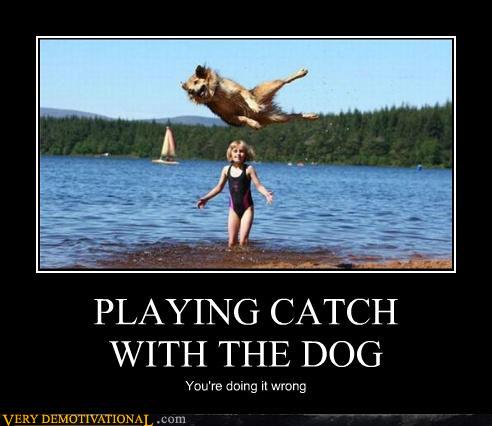 Dog demotivators and graphics