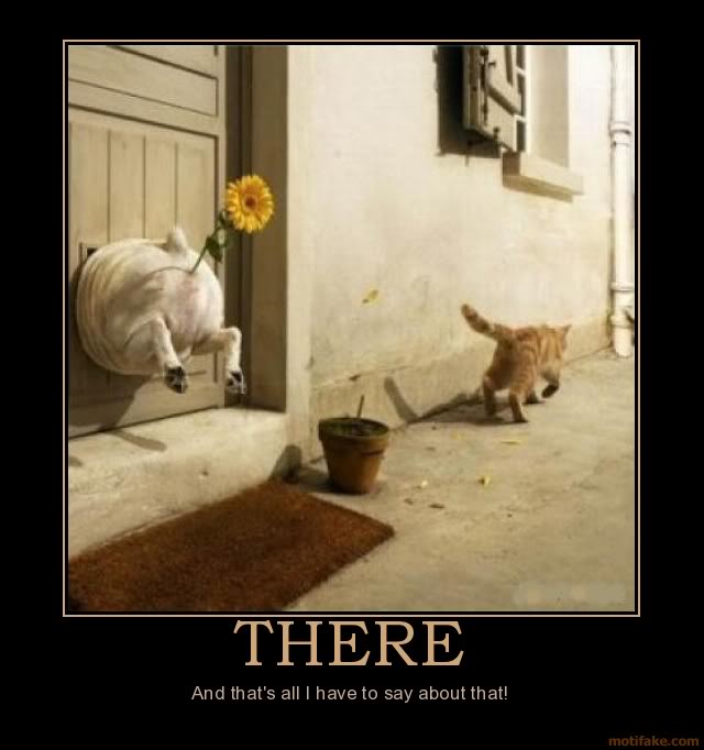 Dog demotivators and graphics