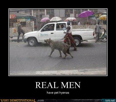 Dog demotivators and graphics