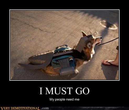 Dog demotivators and graphics