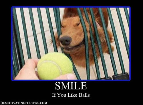 Dog demotivators and graphics