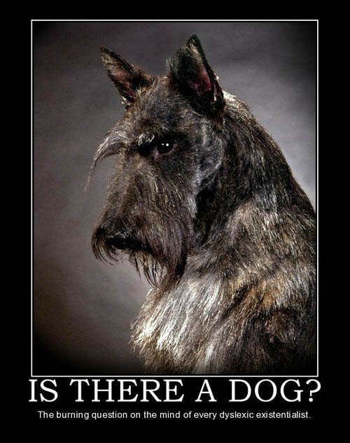 Dog demotivators and graphics