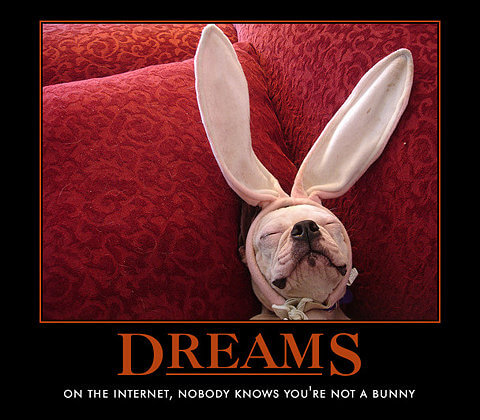 Dog demotivators and graphics