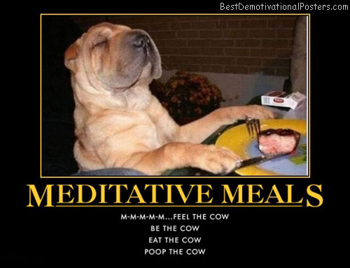 Dog demotivators and graphics