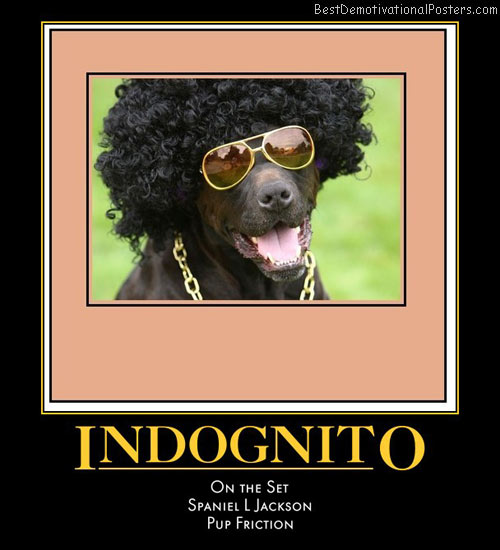 Dog demotivators and graphics