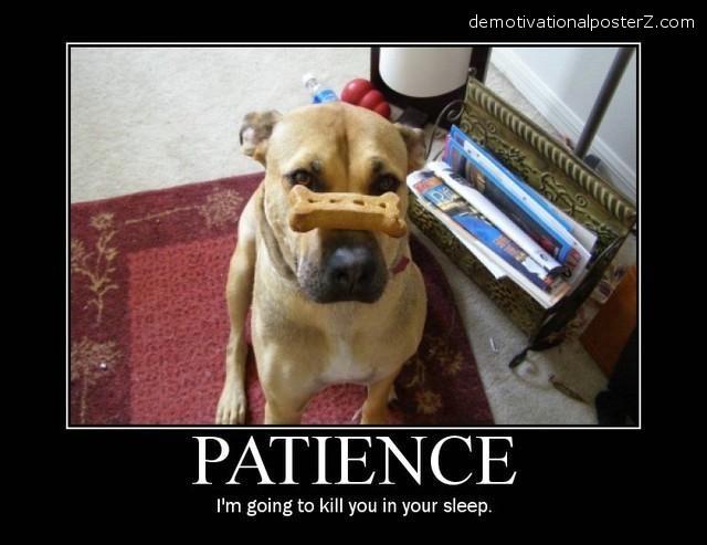 Dog demotivators and graphics