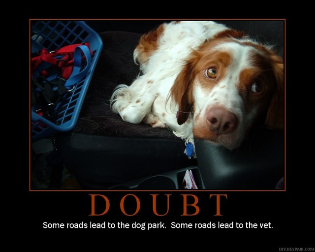 Dog demotivators and graphics