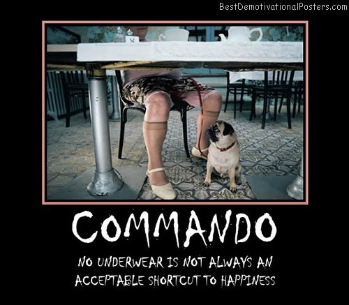 Dog demotivators and graphics