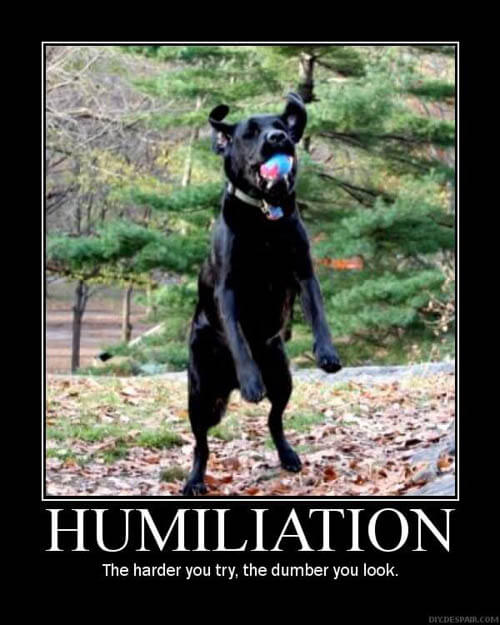 Dog demotivators and graphics