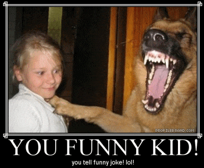 Dog demotivators and graphics