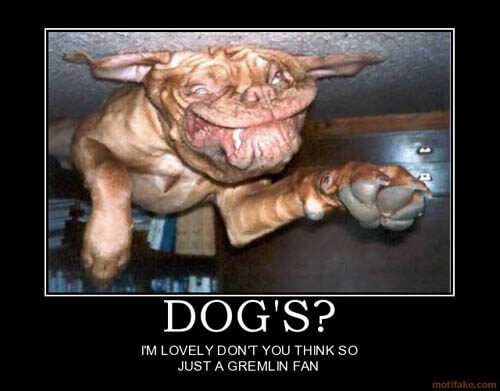 Dog demotivators and graphics