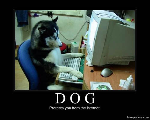 Dog demotivators and graphics