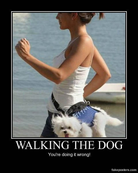 Dog demotivators and graphics