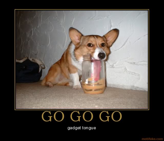 Dog demotivators and graphics