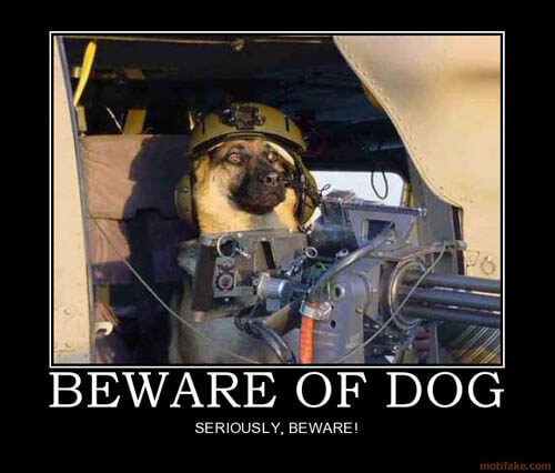 Dog demotivators and graphics