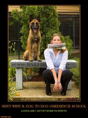 Dog demotivators and graphics