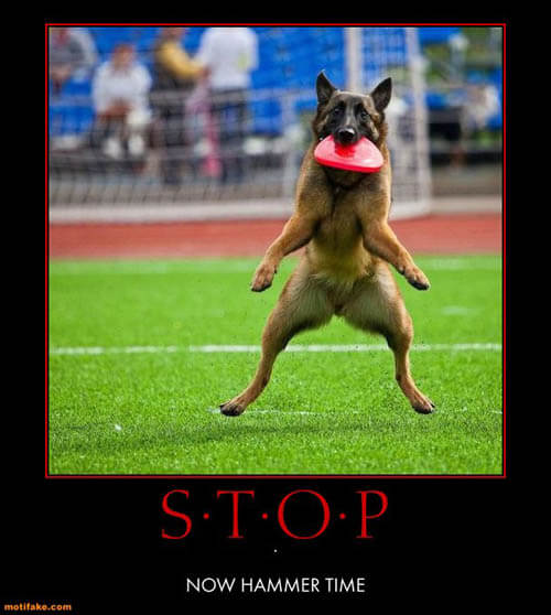 Dog demotivators and graphics