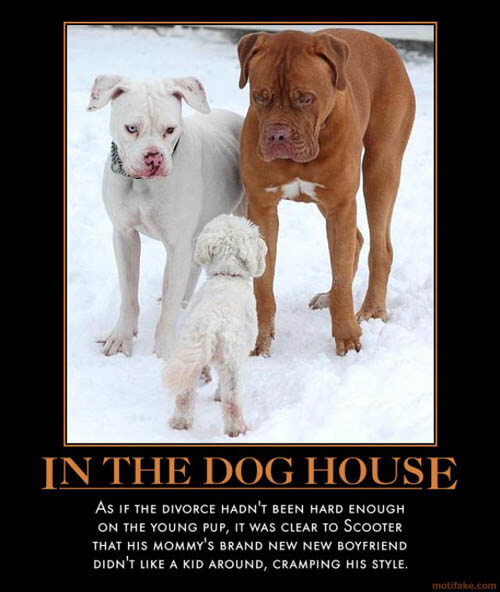 Dog demotivators and graphics