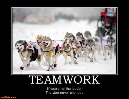 Dog demotivators and graphics