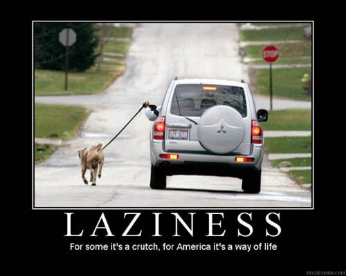 Dog demotivators and graphics