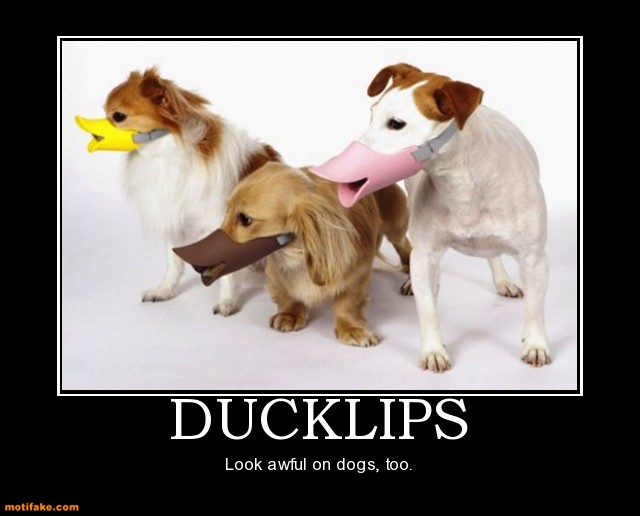 Dog demotivators and graphics