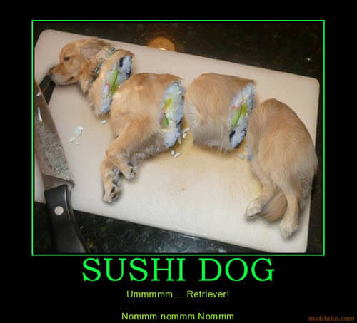 Dog demotivators and graphics