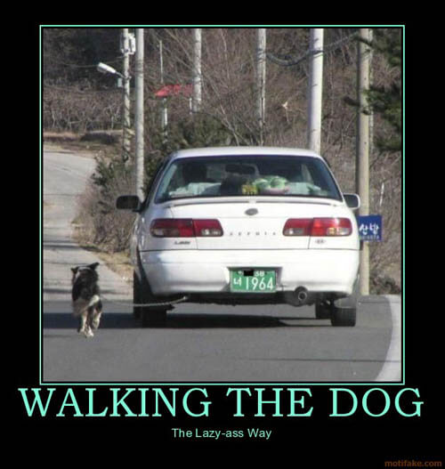 Dog demotivators and graphics