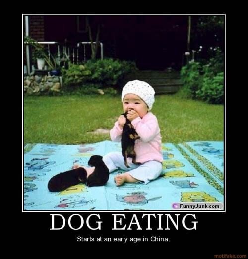 Dog demotivators and graphics