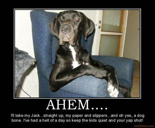 Dog demotivators and graphics