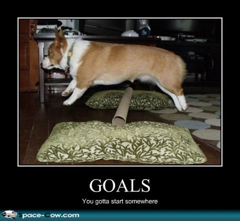 Dog demotivators and graphics