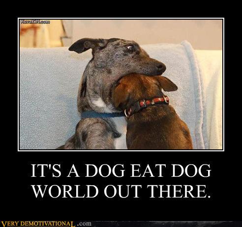 Dog demotivators and graphics